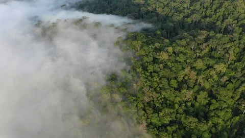 Clouds over mountain rainforest Video stock 106663466