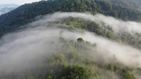 Clouds over mountain rainforest Video stock 106803035