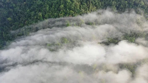 Clouds over mountain rainforest Vídeo Stock 106803162