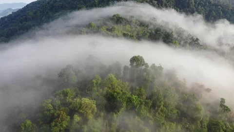 Clouds over mountain rainforest Vidéo 106803543