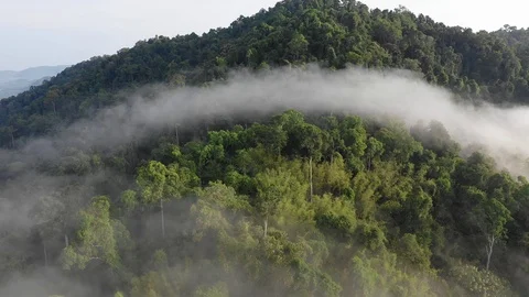 Clouds over mountain rainforest Stock-Footage 106803579