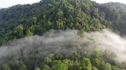 Clouds over mountain rainforest Video stock 106804564