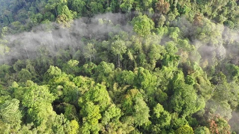 Clouds over mountain rainforest Video stock 106804665