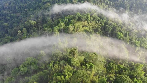 Clouds over mountain rainforest Video stock 106804738