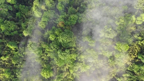 Clouds over mountain rainforest 스톡 동영상 106804826