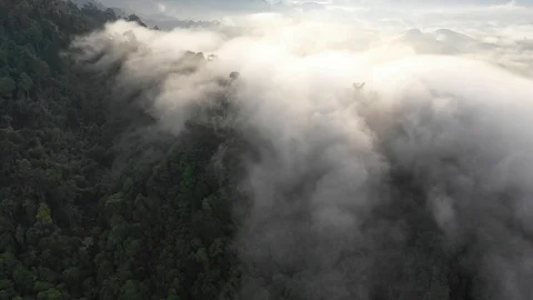 Clouds over mountain rainforest Vídeo Stock 106823750