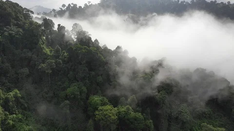 Clouds over mountain rainforest 스톡 동영상 107759687