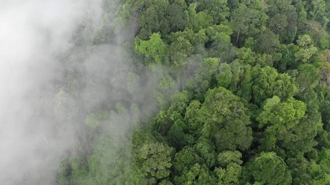 Clouds over mountain rainforest 스톡 동영상 107760116
