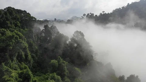 Clouds over mountain rainforest Stock Footage 107760156