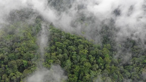 Clouds over mountain rainforest Vídeo Stock 108417587