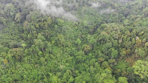 Clouds over mountain rainforest Video stock 108417709