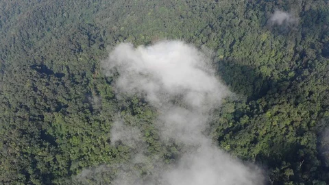 Clouds over mountain rainforest Stock-Footage 108720433