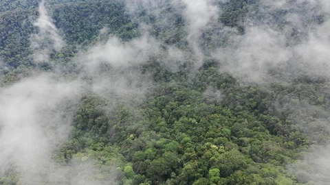 Clouds over mountain rainforest 스톡 동영상 108720781