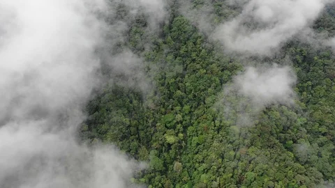 Clouds over mountain rainforest 스톡 동영상 108720940