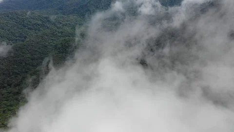 Clouds over mountain rainforest Vídeo Stock 108721005