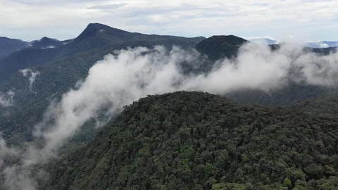 Clouds over mountain rainforest Video stock 108721034