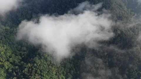 Clouds over mountain rainforest Vídeos de archivo 108781120