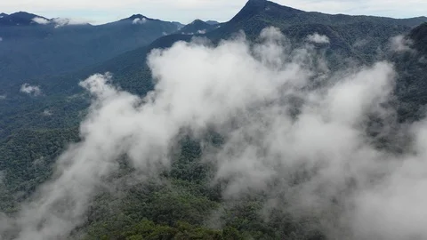 Clouds over mountain rainforest 스톡 동영상 108781491