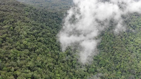Clouds over mountain rainforest Vídeo Stock 108781605