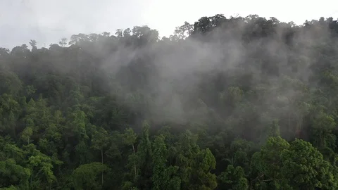 Clouds over mountain rainforest 스톡 동영상 120512944