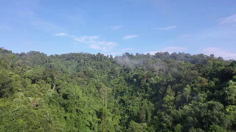 Clouds over mountain rainforest 스톡 동영상 120545987