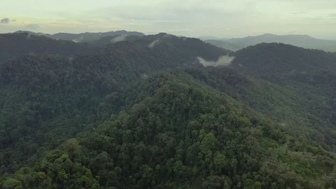 Clouds over mountain rainforest Stock Footage 124634699