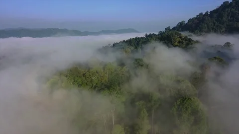 Clouds over mountain rainforest Stock Footage 125964142