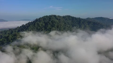 Clouds over mountain rainforest Stock Footage 125964148