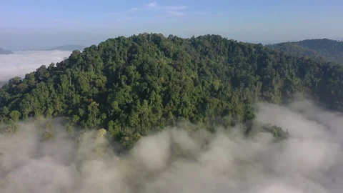 Clouds over mountain rainforest Video stock 126686673