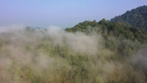 Clouds over mountain rainforest Video stock 126686886