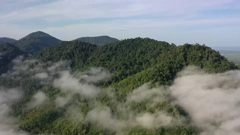 Clouds over mountain rainforest Stock Footage 128717838