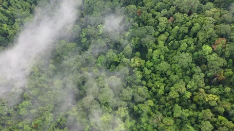 Clouds over mountain rainforest Stock Footage 129428579