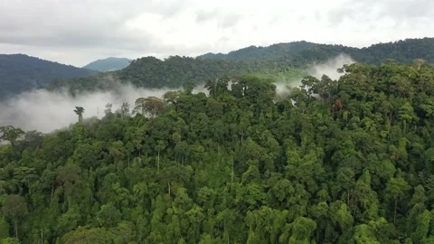 Clouds over mountain rainforest Stock Footage 130547030