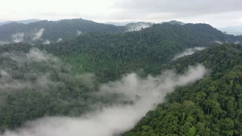 Clouds over mountain rainforest Stock Footage 130858828