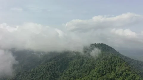 Clouds over mountain rainforest Stock Footage 130984929