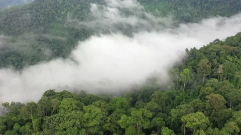 Clouds over mountain rainforest Stock Footage 131128217