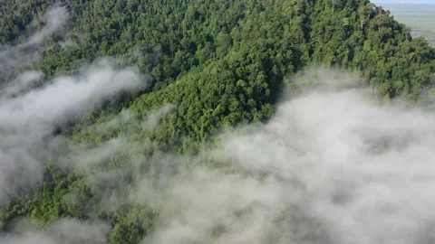 Clouds over mountain rainforest Stock Footage 131206191