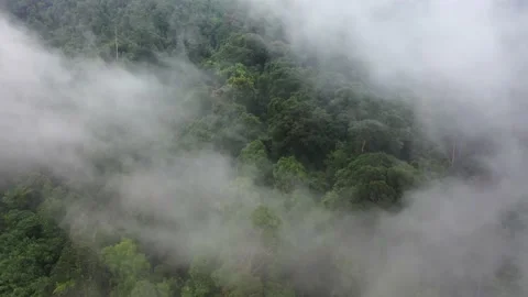 Clouds over mountain rainforest Stock Footage 131206203