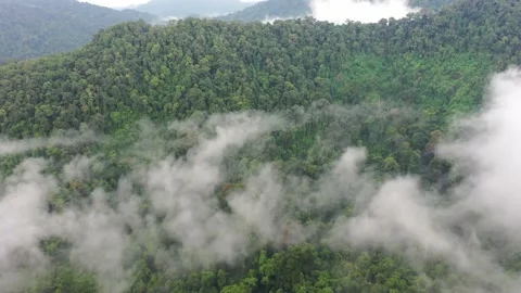 Clouds over mountain rainforest Stock Footage 131279593