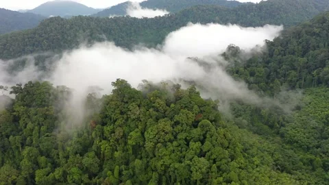 Clouds over mountain rainforest Stock Footage 131419849