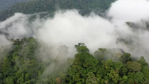 Clouds over mountain rainforest Stock Footage 131574805