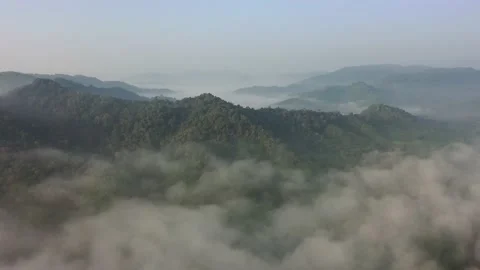 Clouds over mountain rainforest Video stock 132497064