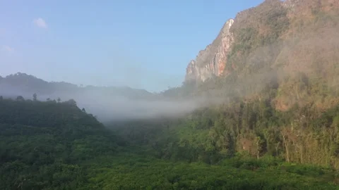 Clouds over mountain rainforest Stock Footage 132569789