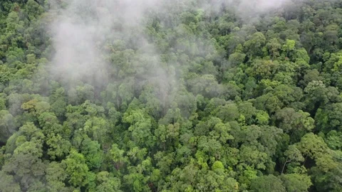 Clouds over mountain rainforest Stock Footage 132841855