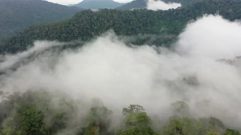 Clouds over mountain rainforest Stock Footage 132938592