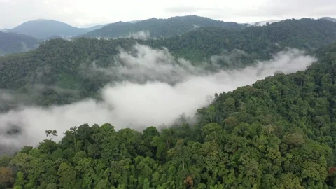 Clouds over mountain rainforest Stock Footage 133882070