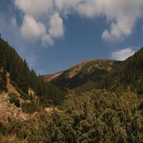 Clouds over the mountains and bushes Stock Footage 69519755