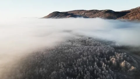 Clouds over the mountains and forest at foggy sunrise. Aerial view. Video stock 255635464