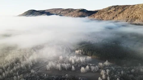 Clouds over the mountains and forest at foggy sunrise. Aerial view. Video stock 255635491