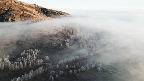 Clouds over the mountains and forest at foggy sunrise. Aerial view. Stock Footage 255635510